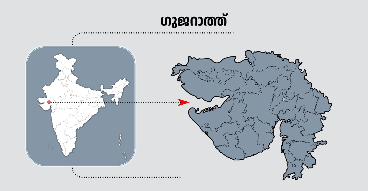 Gujarat Lok Sabha Election Results 2024