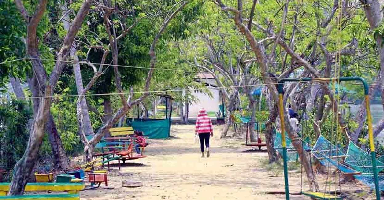 250 രൂപയ്ക്ക് കായൽക്കാഴ്ചയും ബോട്ടിങ്ങും ഉൗണും, മീൻരുചികളുടെ പാലാക്കരി