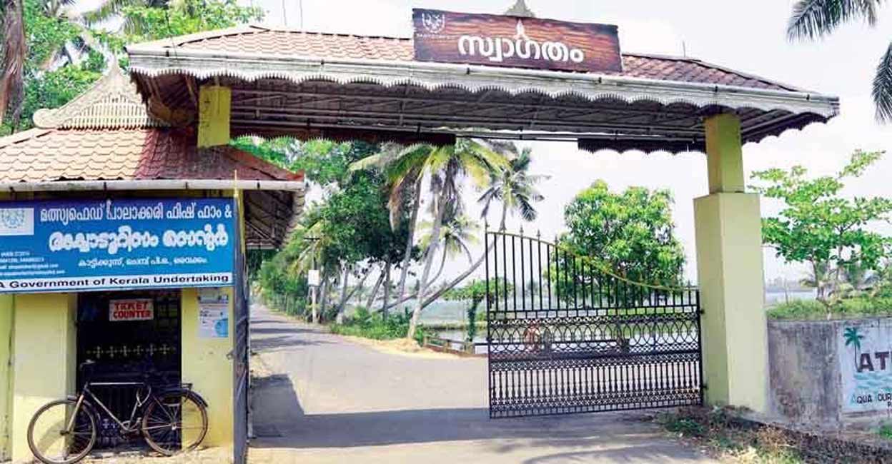 250 രൂപയ്ക്ക് കായൽക്കാഴ്ചയും ബോട്ടിങ്ങും ഉൗണും, മീൻരുചികളുടെ പാലാക്കരി