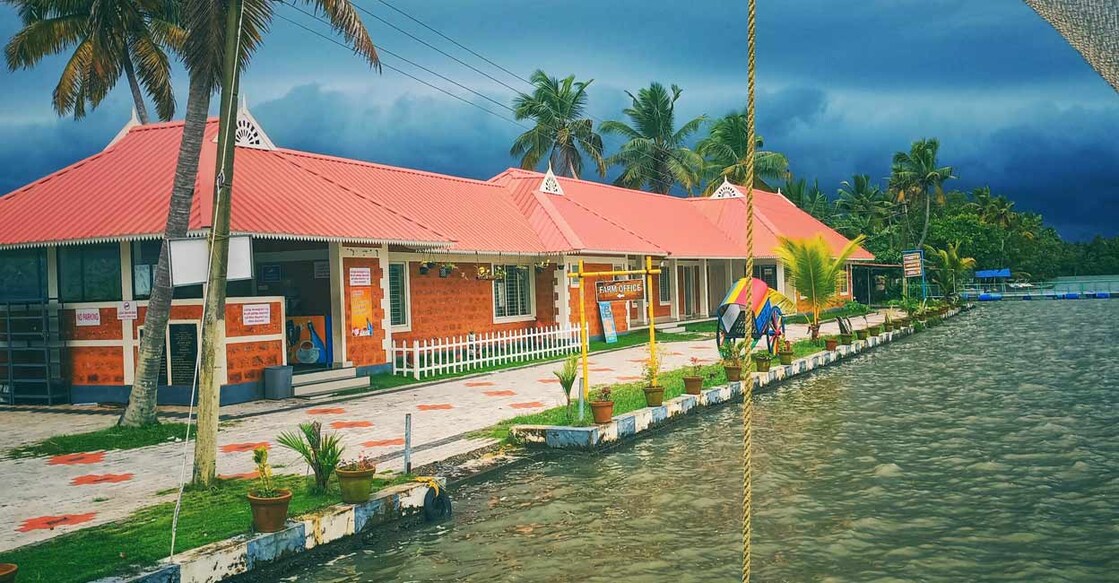 Palaikari2
