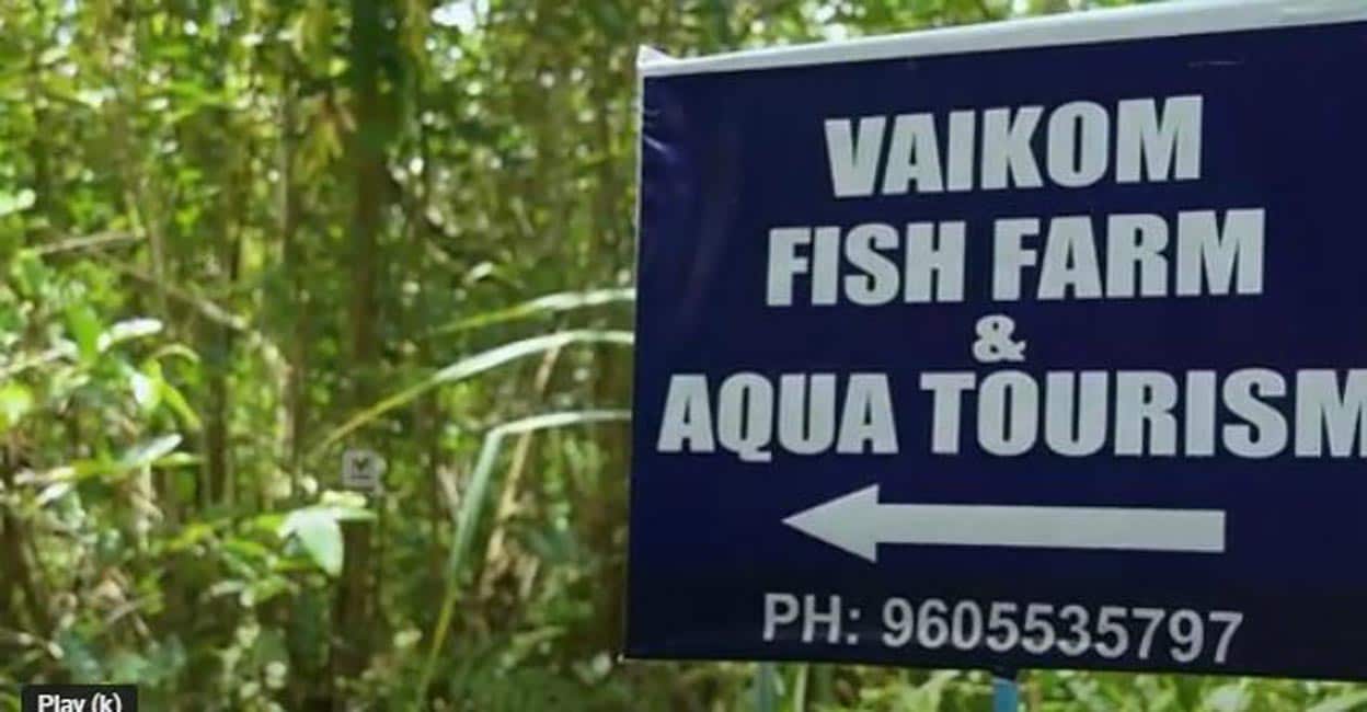 കരിമീൻ ചൂണ്ടയിട്ട് പിടിക്കാം, താറാവ് റോസ്റ്റുംകൂട്ടി ഉൗണ്; 350 രൂപ