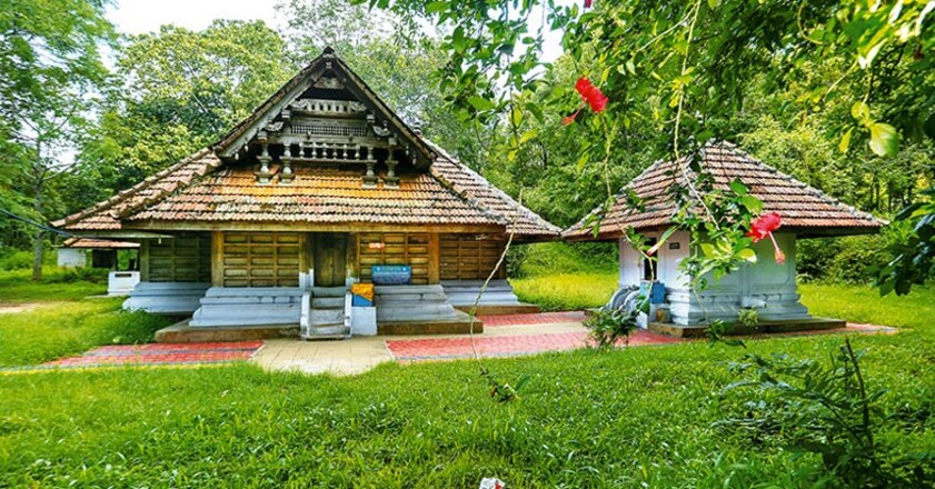 wayanad3 wayanad3