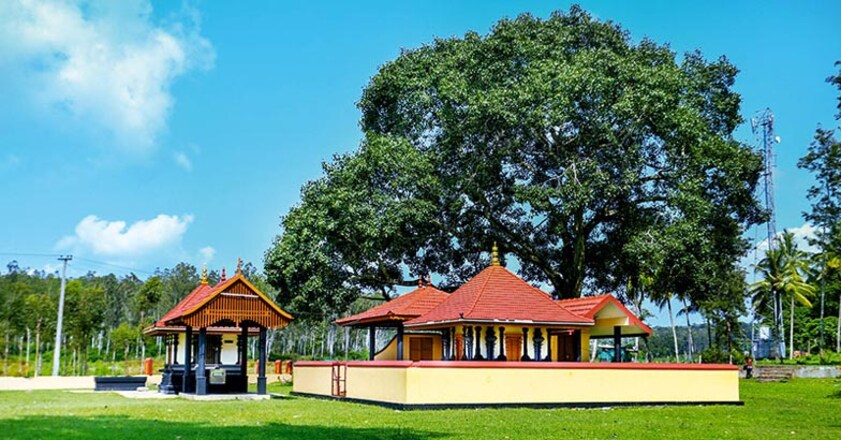 wayanad34 wayanad34