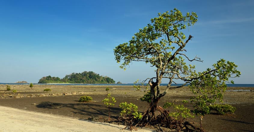 andaman-nicobar-diglipur andaman-nicobar-diglipur
