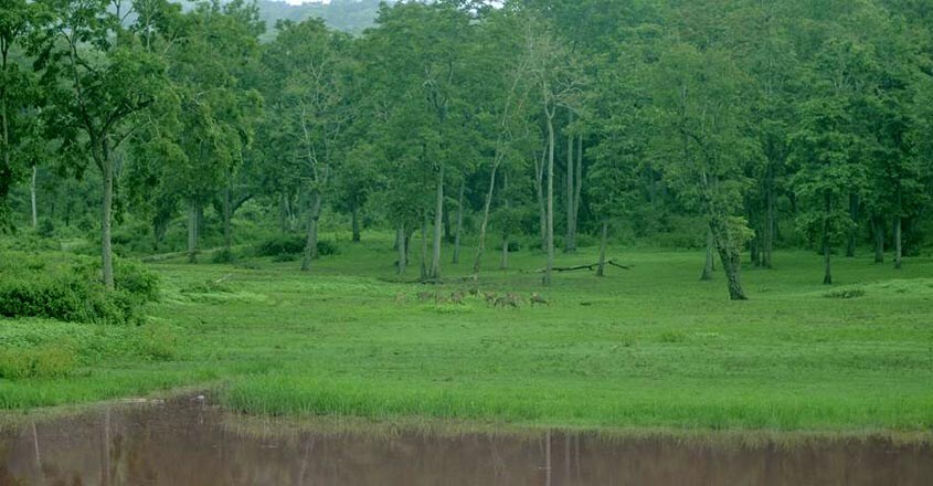 wayanad wayanad