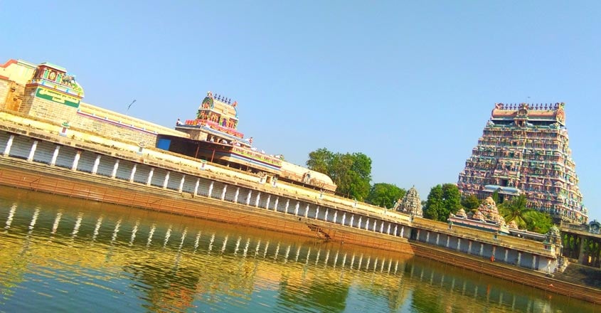 pichavaram-travel pichavaram-travel