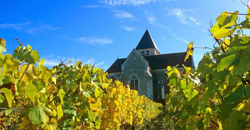 Chablis Chablis