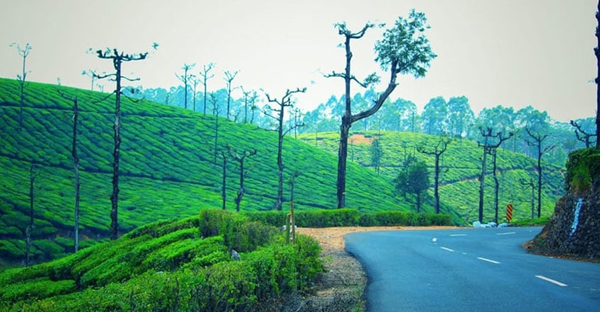 valparai-trip6 valparai-trip6