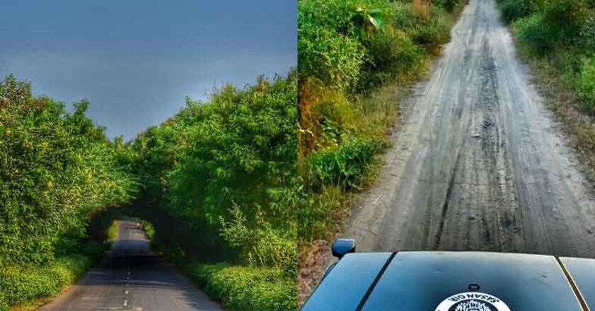 gir-forest6 gir-forest6