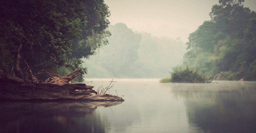 kodagu1 kodagu1