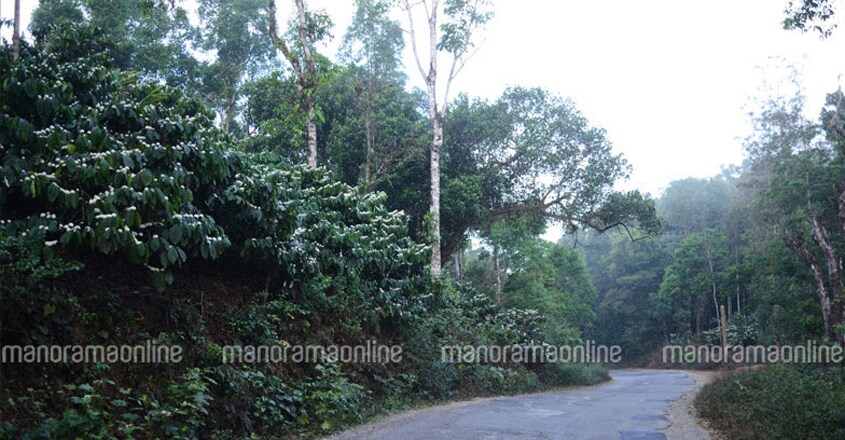 kodagu4 kodagu4