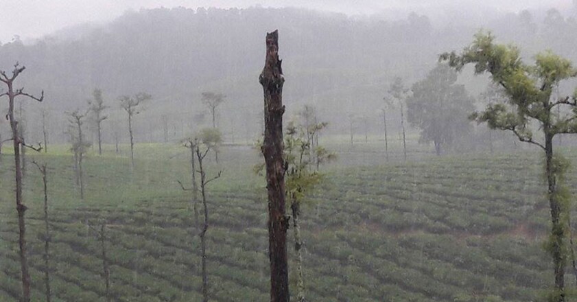 valparai4 valparai4