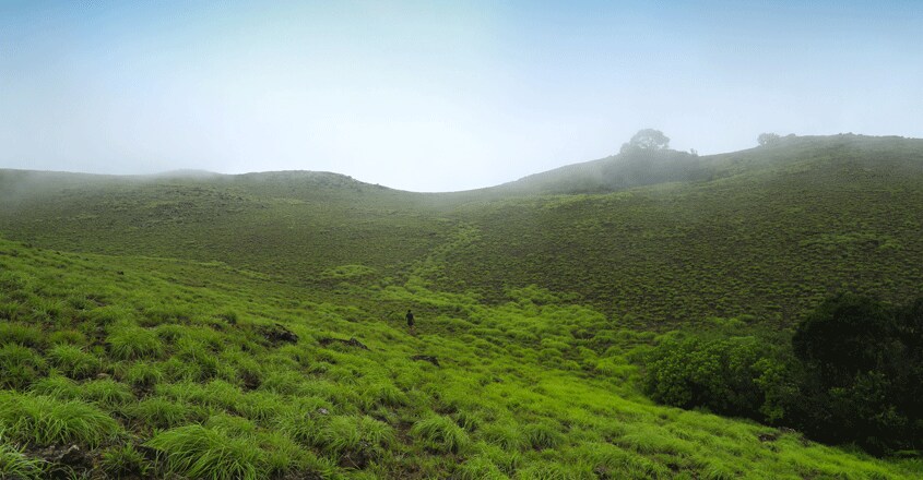 Paithlmala-travel2 Paithlmala-travel2