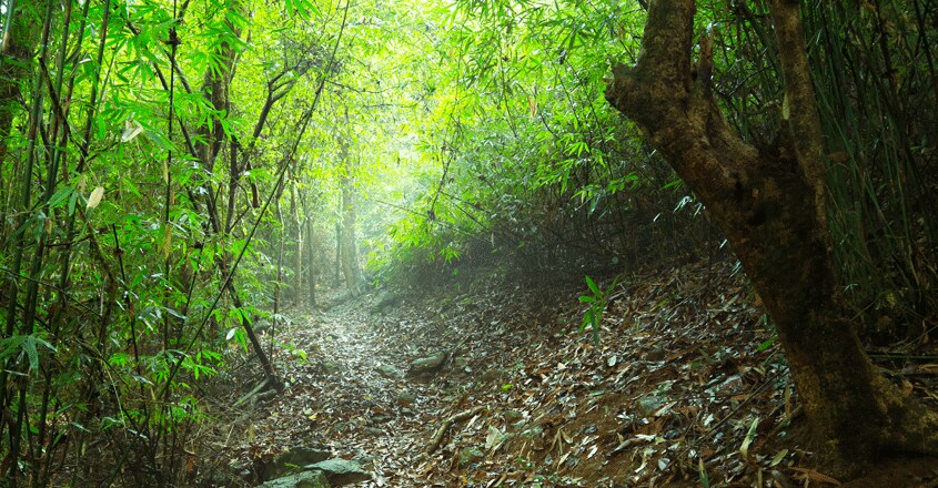 Paithlmala-travel4 Paithlmala-travel4