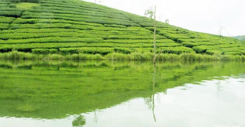 elappara elappara