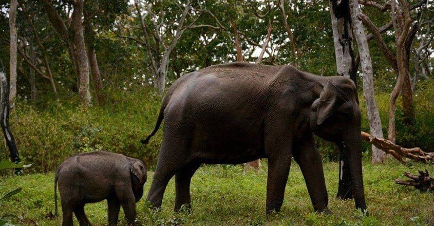 muthanga-travel3 muthanga-travel3