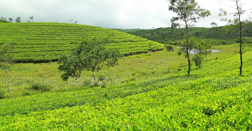 vagamon-trip6 vagamon-trip6