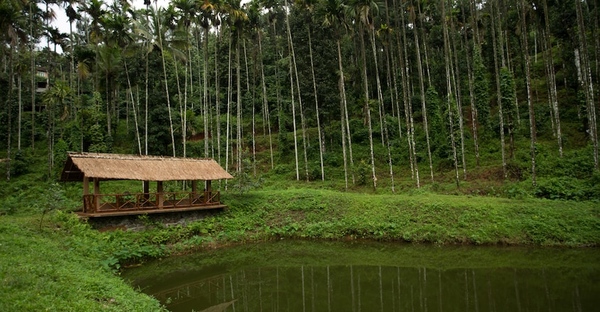 wayanad-travel12 wayanad-travel12