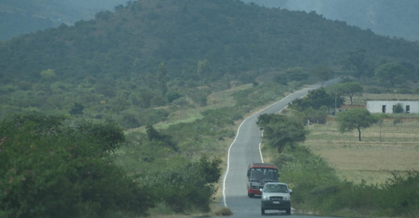Mudumalai-National-Park3 Mudumalai-National-Park3