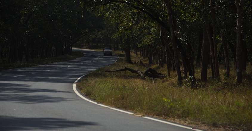 Mudumalai-National-Park5 Mudumalai-National-Park5