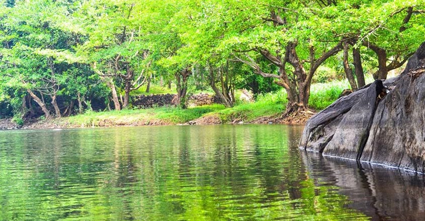 Janaki-forest1 Janaki-forest1