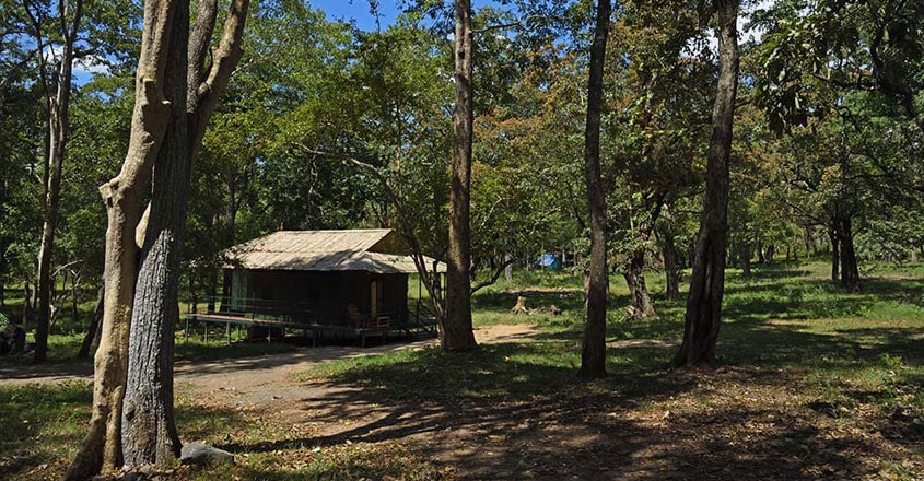 parambikulam-tiger-reserve5 parambikulam-tiger-reserve5