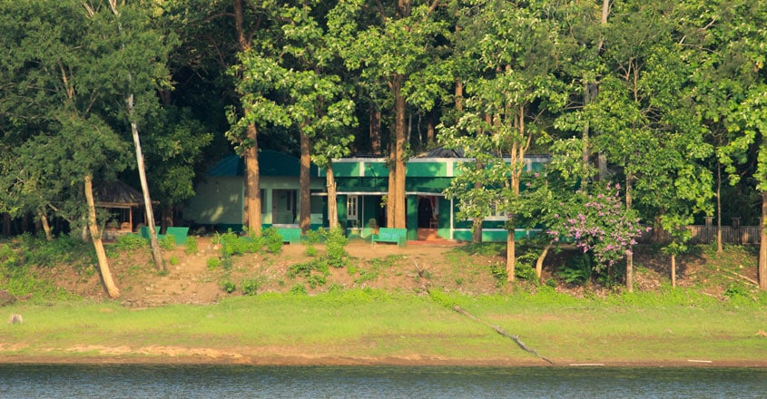 Parambikulam-Tiger-Reserve9 Parambikulam-Tiger-Reserve9