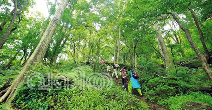 Palakkad-travel Palakkad-travel