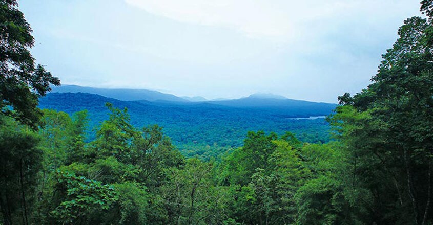 parambikulam-tiger-reserve-stay1 parambikulam-tiger-reserve-stay1