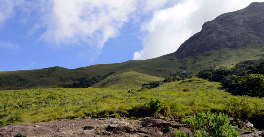 national-parks-in-kerala5 national-parks-in-kerala5