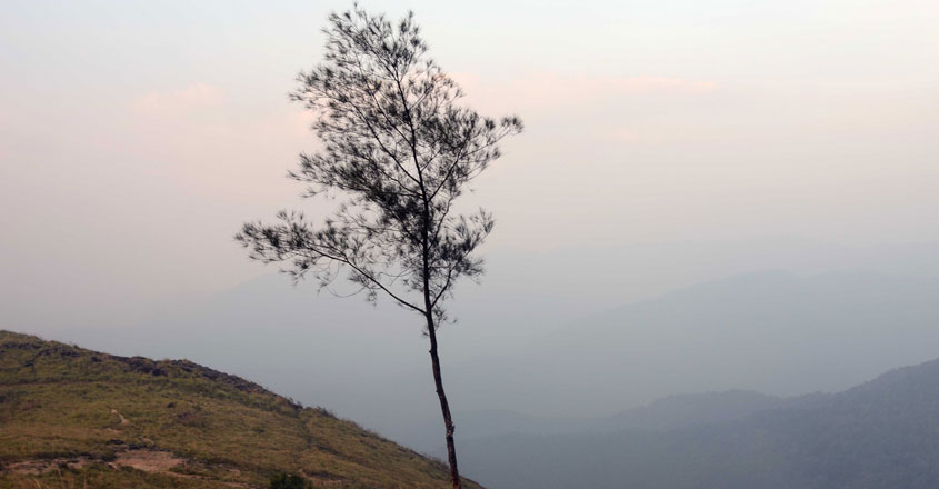 പൊൻമുടി പൊൻമുടി