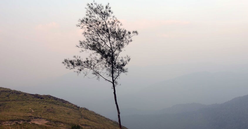 പൊൻമുടി പൊൻമുടി