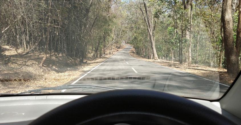 athirappilly-pic1 athirappilly-pic1