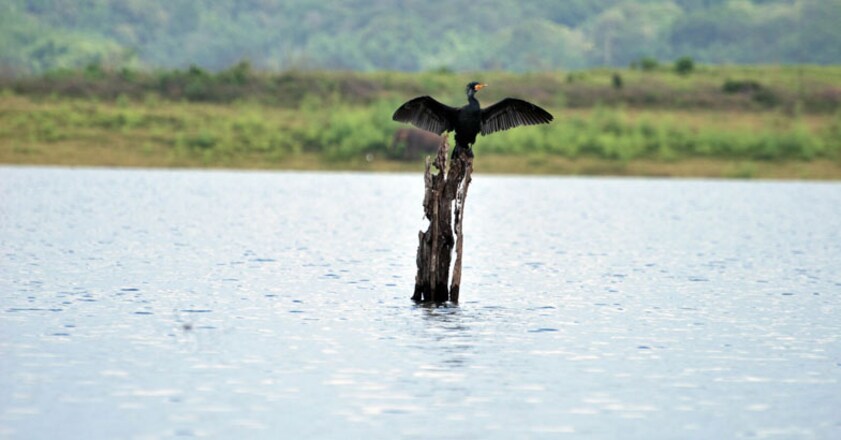 parambikulam-island–17 parambikulam-island–17