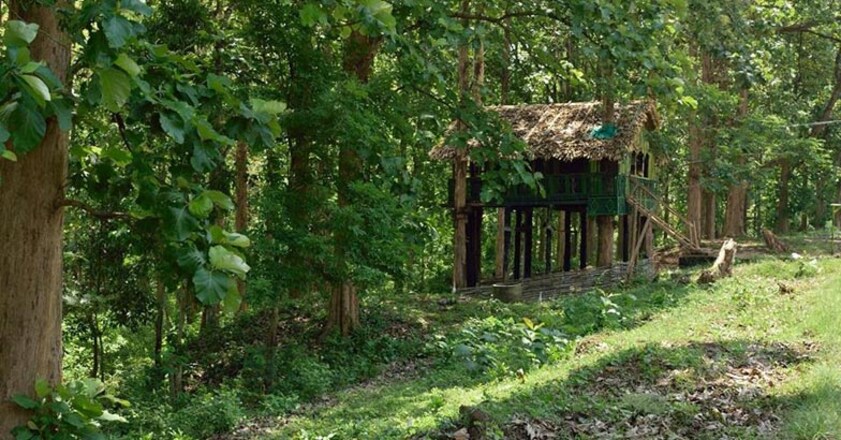 parambikulam6 parambikulam6