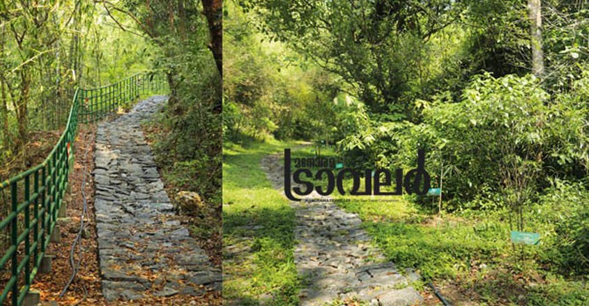 vanaparvam-trip vanaparvam-trip