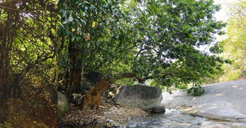 vanaparvam-trip1 vanaparvam-trip1