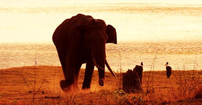 wild-travel wild-travel