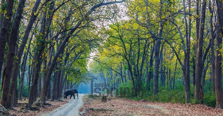 wild-travel1 wild-travel1