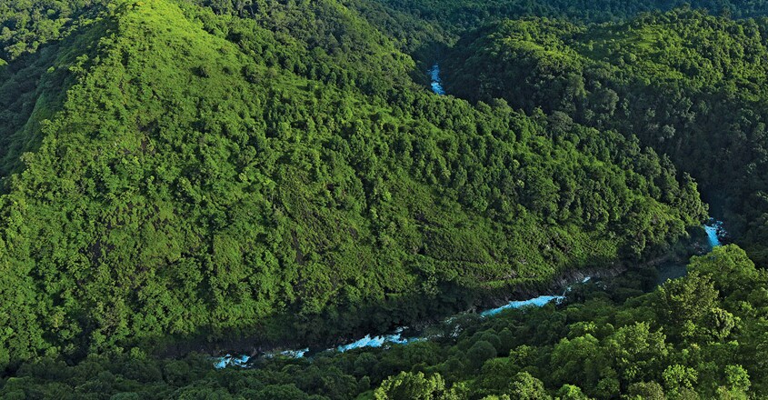 Silent-Valley-National-Park1 Silent-Valley-National-Park1