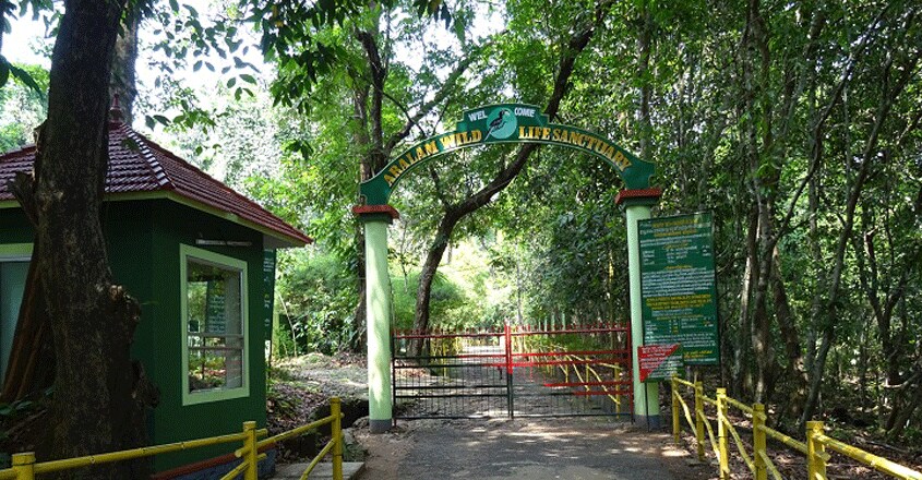 Aralam-Wildlife-Sanctuary1 Aralam-Wildlife-Sanctuary1