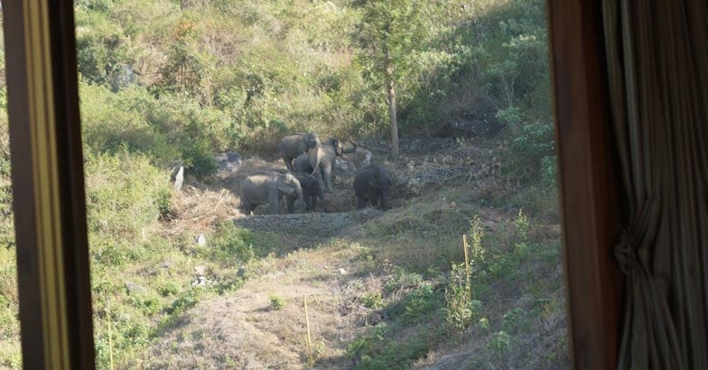 Gudalur16 Gudalur16