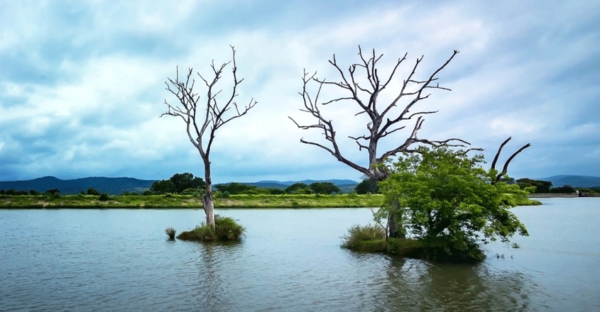 moyar-dam-back-water-masinagudi moyar-dam-back-water-masinagudi