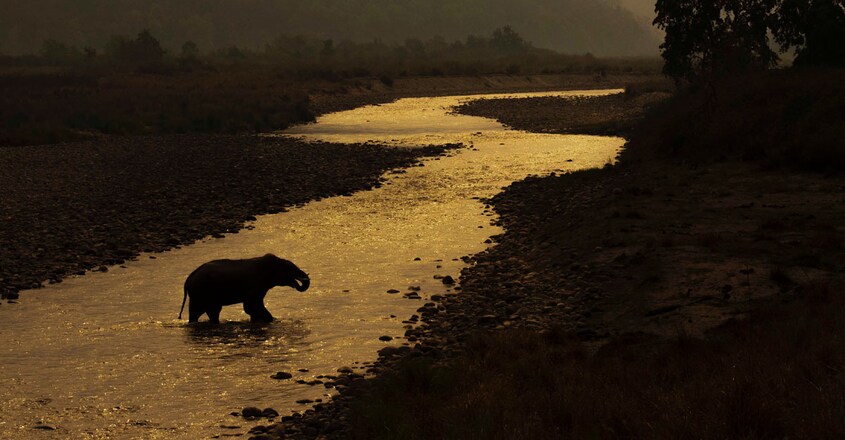 Jim-Corbett-National-Park1 Jim-Corbett-National-Park1