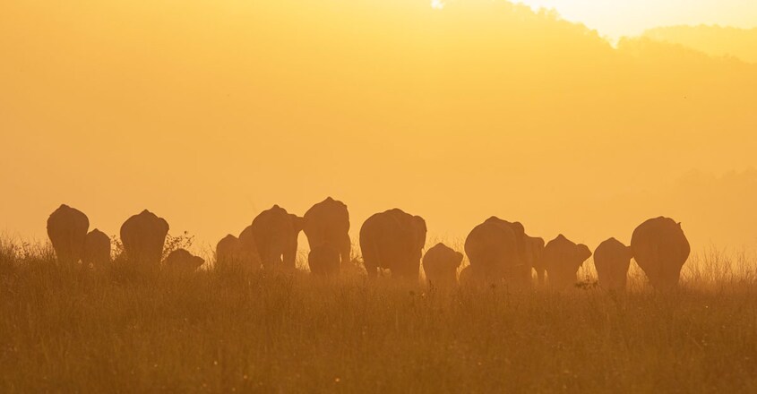 Jim-Corbett-National-Park5 Jim-Corbett-National-Park5