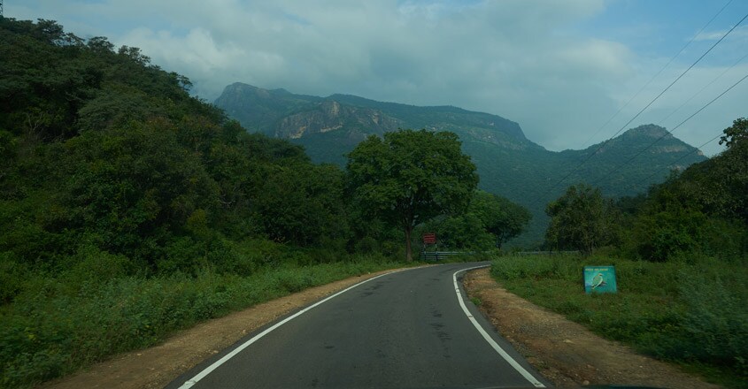 Anamalai Anamalai
