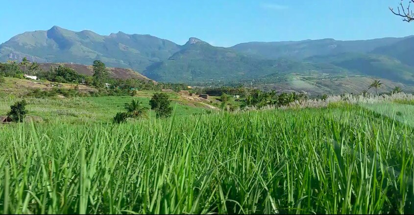 Bhramaram-Locations Bhramaram-Locations