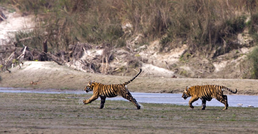 kanha-national-park kanha-national-park