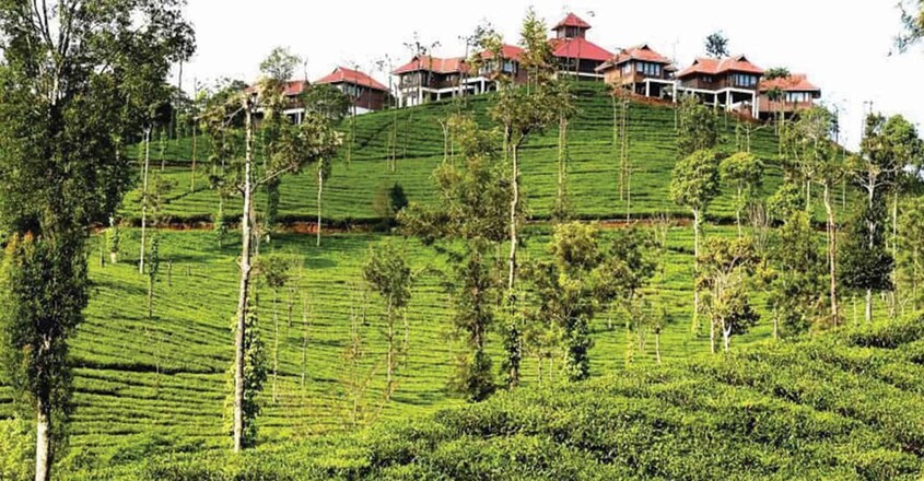 Wild-Planet-Jungle-Resort,-Devala1 Wild-Planet-Jungle-Resort,-Devala1