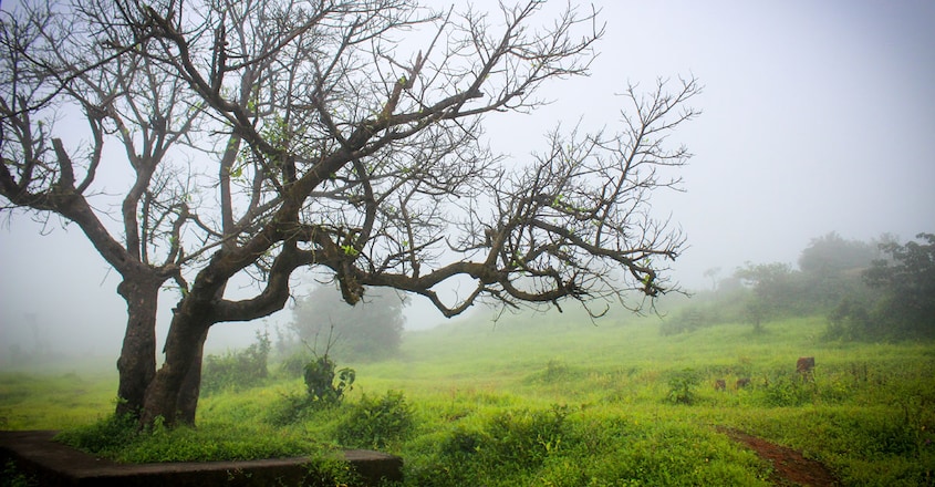 Amboli-valley Amboli-valley